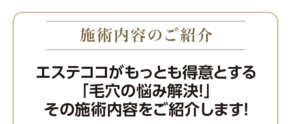 エステココ 毛穴ケア 黒ずみ 汚れ