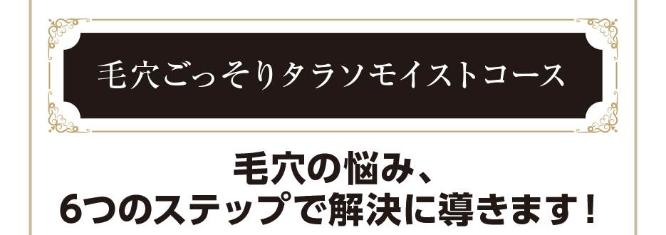 エステココ 毛穴ケア 黒ずみ 汚れ